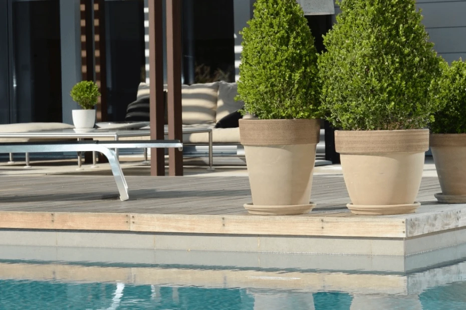 Terracotta Vulcano Graffiata