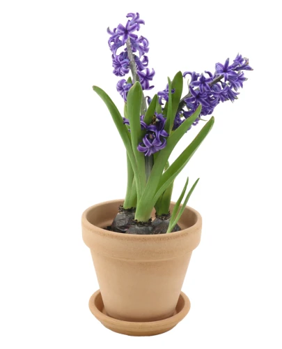 Doniczka VASO ARENA D19 Ceramiczna Terakota 19cm 4