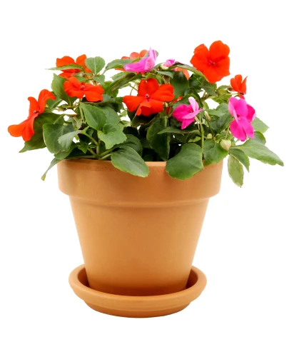 Podstawka SOTTOVASO D11 Ceramiczna Terakota 11cm 2