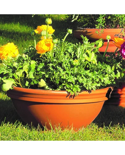 DEGREA Misa Ciotola CICLAMINO Ceramiczna Terakota D33 cm + Podstawka D25 4