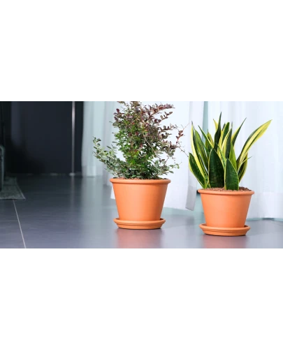 Doniczka VASO POMPEI D27 + Podstawek D23 4