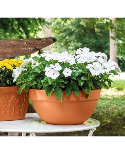 DEGREA Misa Ciotola IBIS D30 Ceramiczna Terakota 30cm + Podstawek D28 cm 3