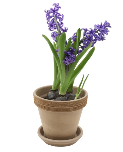 DEGREA Doniczka Ceramiczna Terakota VASO VULCANO GRAFFIATO D19 cm + Podstawek D17 cm 4